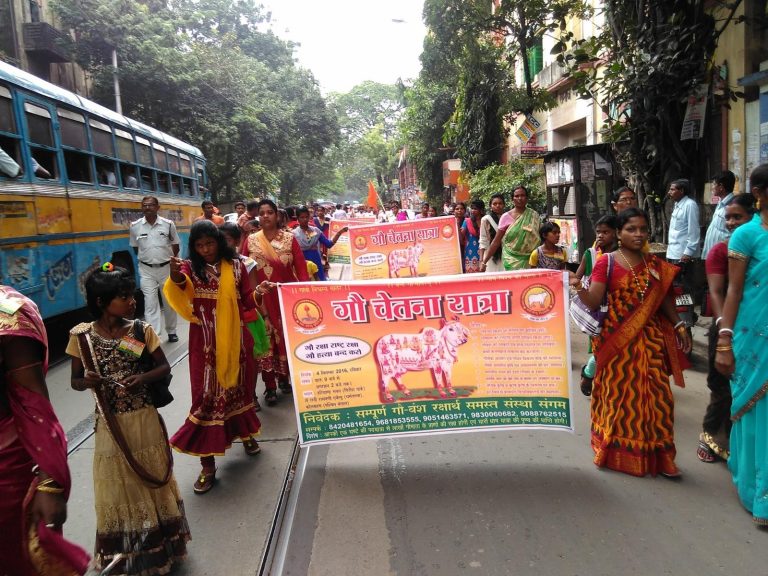 “Cow Awareness Journey”